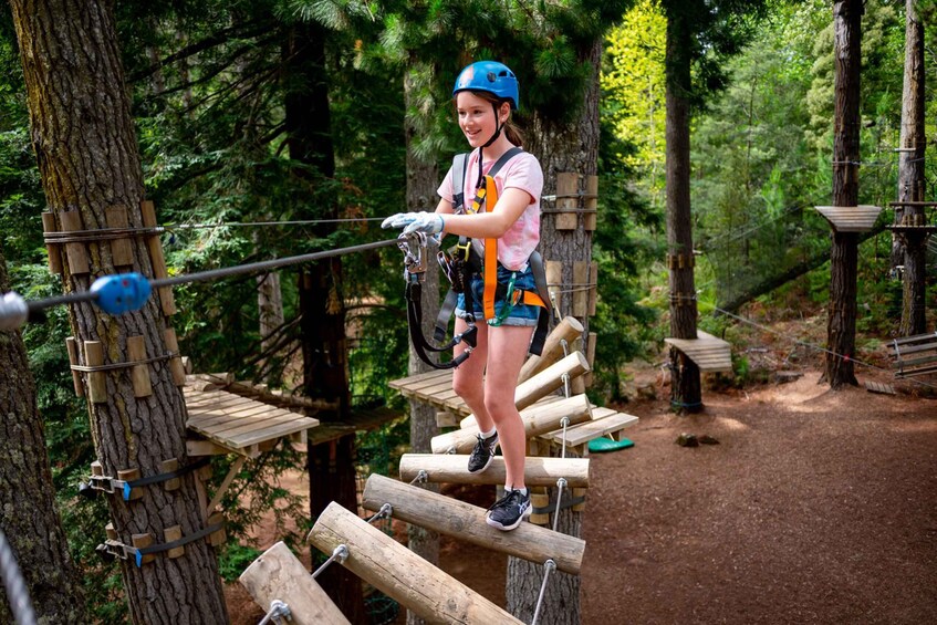 Picture 2 for Activity Launceston: Hollybank Tree Ropes Course