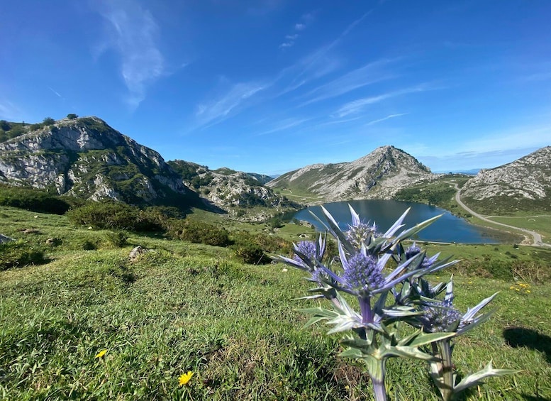 Private Tour Northern Spain 10 days