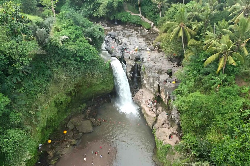 Picture 7 for Activity Ubud VW Safari Bali Tour