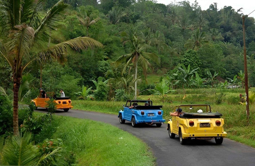 Ubud VW Safari Bali Tour