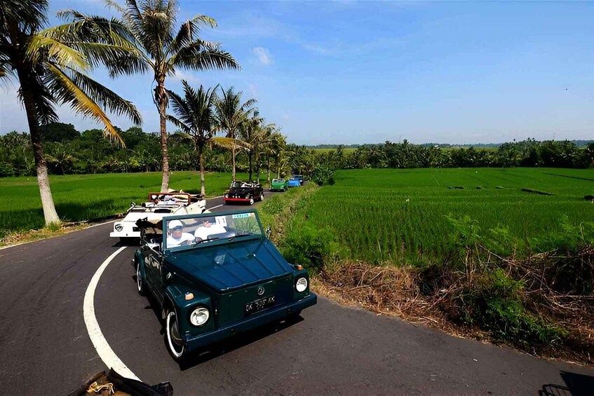 Picture 6 for Activity Ubud VW Safari Bali Tour