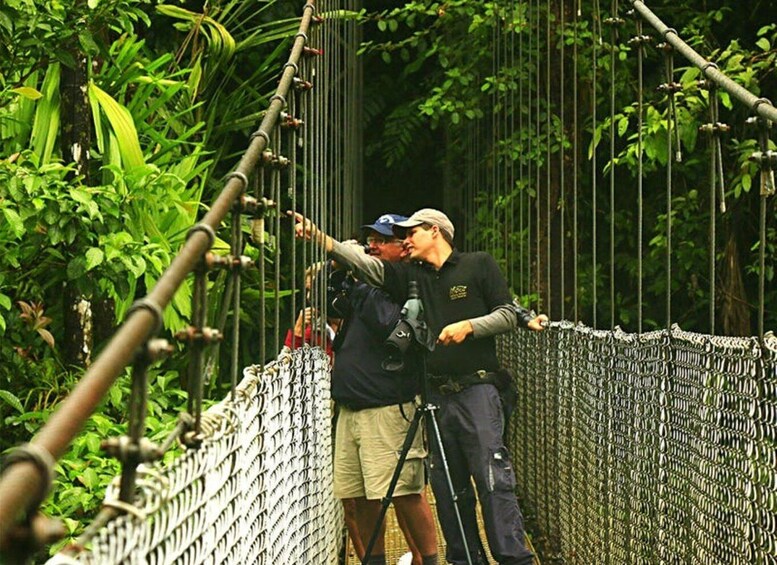 Picture 8 for Activity 4-in-1 Arenal Volcano Hike, Bridges, Waterfall & Hot Springs