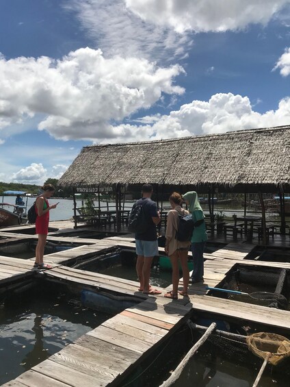 Picture 14 for Activity Ko Lanta: Half-Day Mangrove Kayaking Tour with Lunch