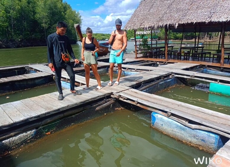 Picture 12 for Activity Ko Lanta: Half-Day Mangrove Kayaking Tour with Lunch