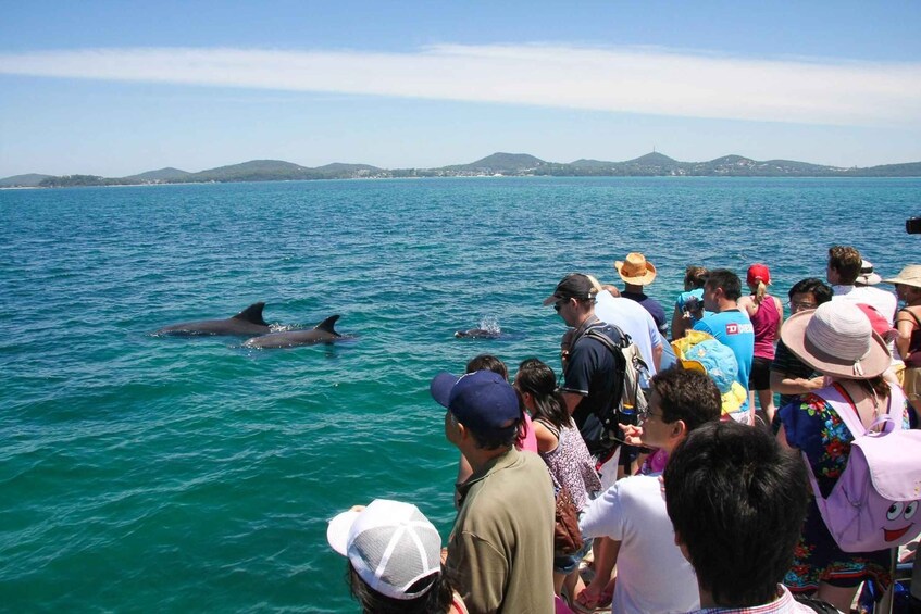 Picture 4 for Activity Sydney: Port Stephens Dolphin Cruise & Sandboarding Day Trip