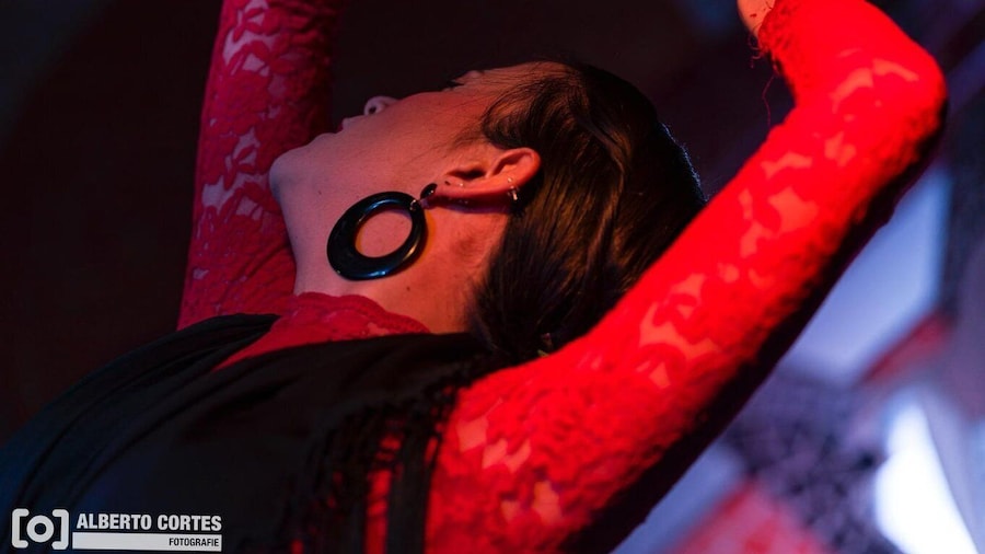 Valencia: Flamenco at Toro y La Luna with Drinks or Dinner