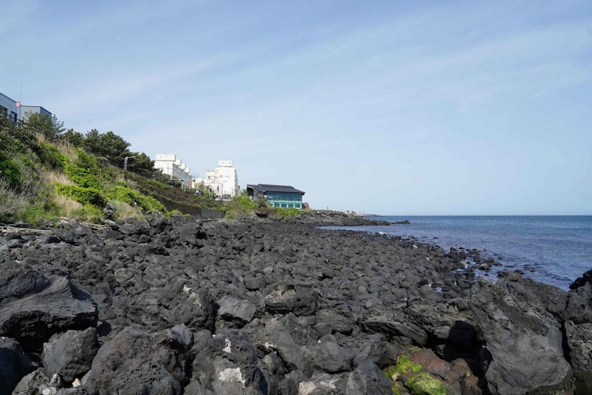 Picture 5 for Activity Jeju Premium Small Group UNESCO Day Tour - West