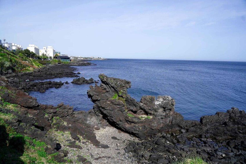 Picture 4 for Activity Jeju Premium Small Group UNESCO Day Tour - West