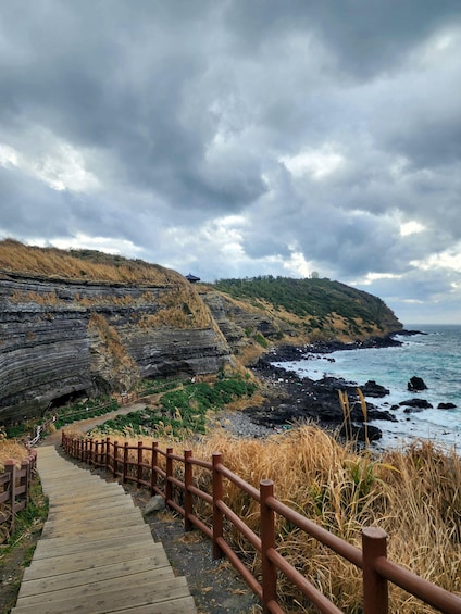 Picture 8 for Activity Jeju Premium Small Group UNESCO Day Tour - West