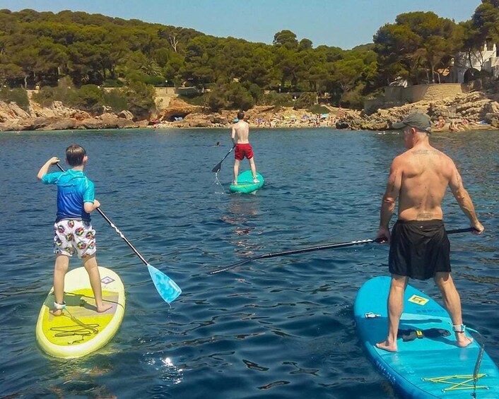 Picture 5 for Activity Cala Ratjada: Stand Up Paddle morning or afternoon Tour