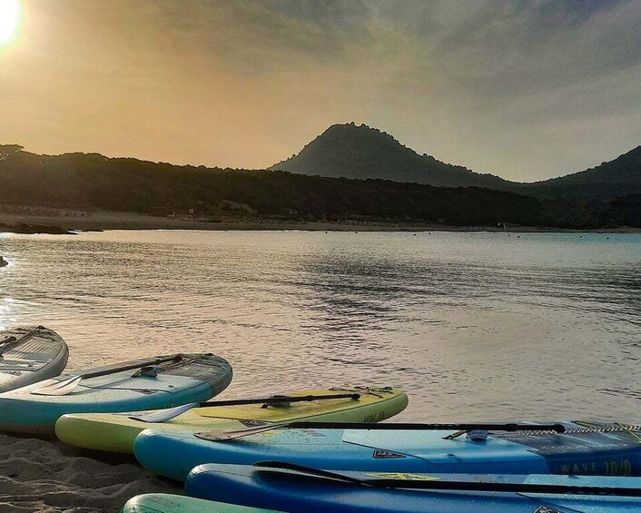 Picture 10 for Activity Cala Ratjada: Stand Up Paddle morning or afternoon Tour