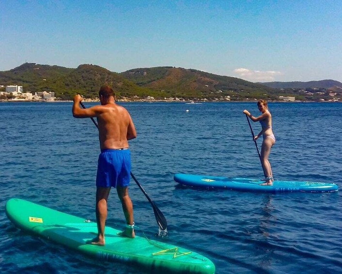 Picture 3 for Activity Cala Ratjada: Stand Up Paddle morning or afternoon Tour