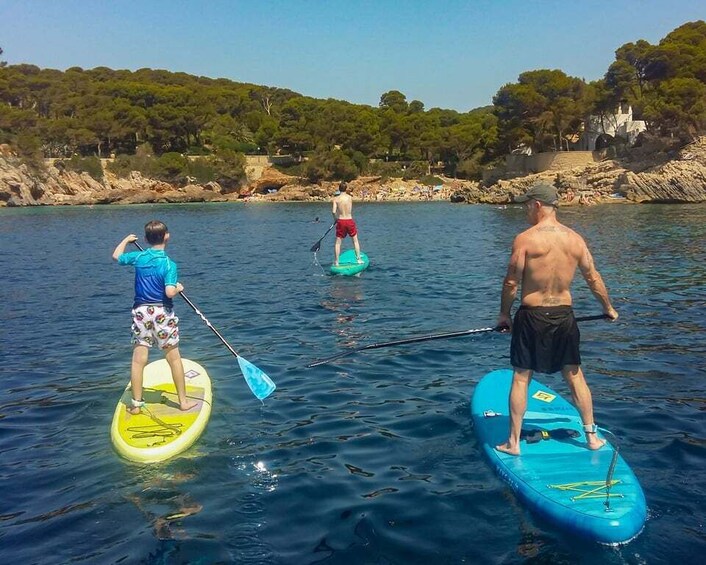 Picture 5 for Activity Cala Ratjada: Stand Up Paddle morning or afternoon Tour