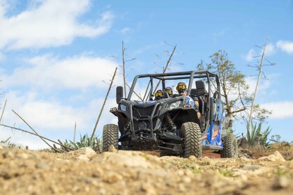 Anfin ranta: Anfi: Opastettu Buggy Tour.