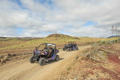 Anfi strand: Buggytour met gids.