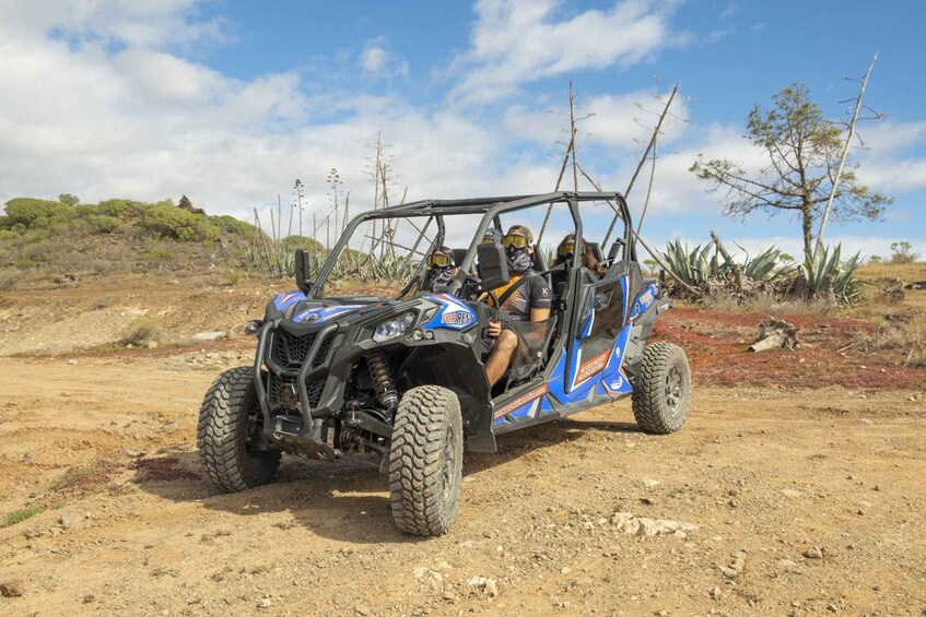 Picture 13 for Activity Anfi beach: Guided Buggy Tour.