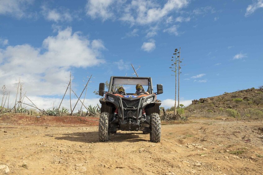 Picture 6 for Activity Anfi beach: Guided Buggy Tour.