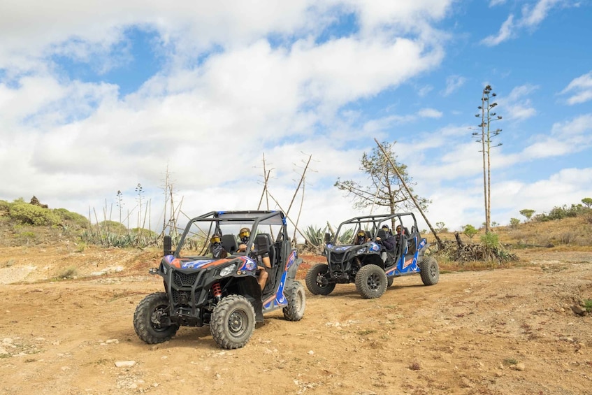 Picture 15 for Activity Anfi beach: Guided Buggy Tour.