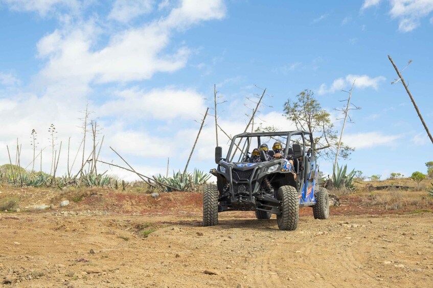 Picture 7 for Activity Anfi beach: Guided Buggy Tour.