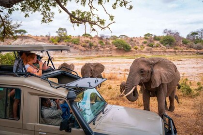 14 dagers beste romantiske bryllupsreise i Kenya