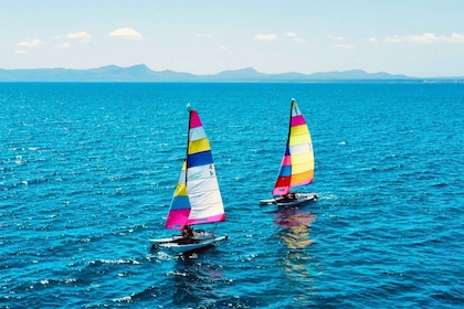 Alcudia: experiencia en catamarán de 1 hora con monitor para 2