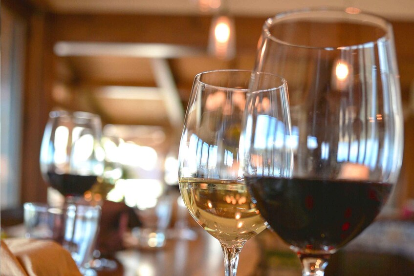 Picture 5 for Activity San Gimignano: Lunch or Dinner at a Winery with Wine Tasting