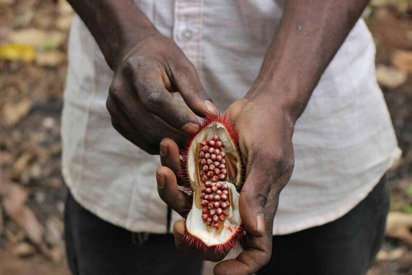 Picture 6 for Activity Zanzibar : Spice farms tour & Traditional cooking class