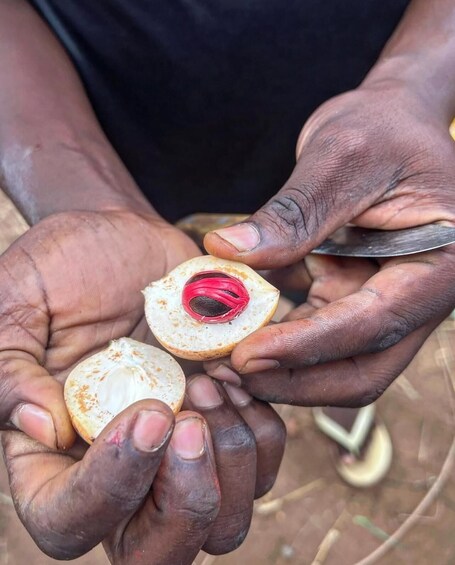 Picture 21 for Activity Zanzibar : Spice farms tour & Traditional cooking class