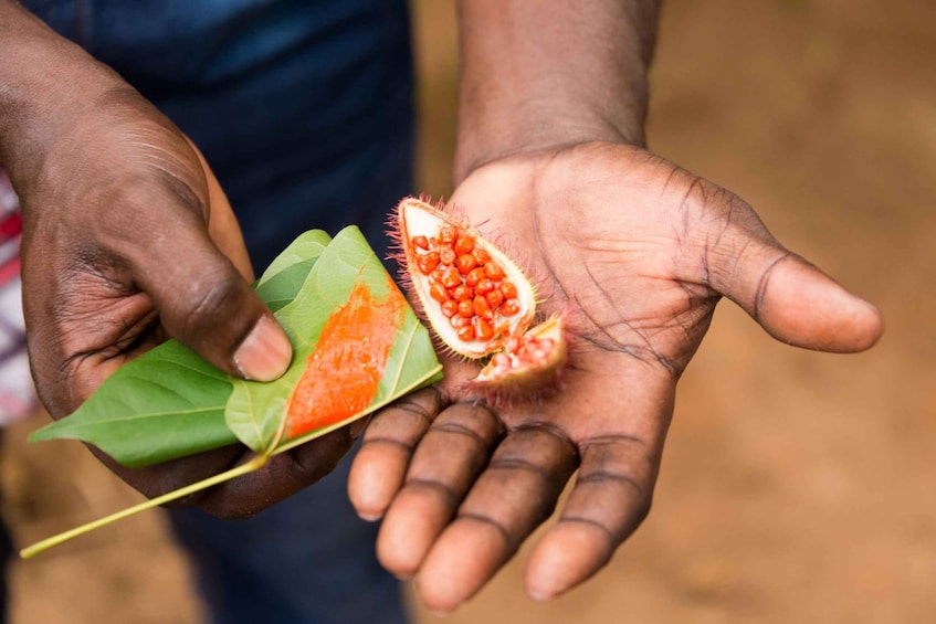 Picture 1 for Activity Zanzibar : Spice farms tour & Traditional cooking class