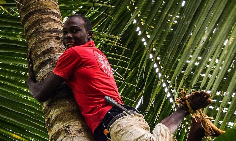 Picture 4 for Activity Zanzibar : Spice farms tour & Traditional cooking class