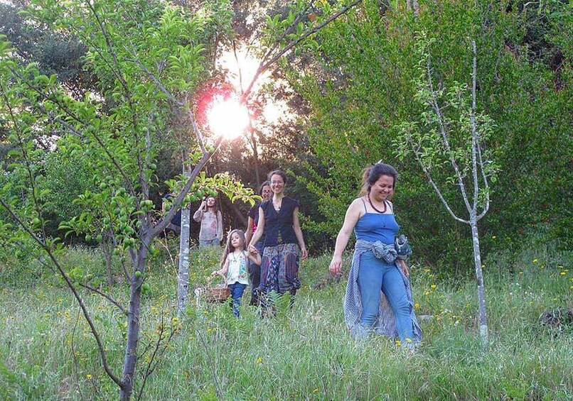 Picture 8 for Activity Traditional Cooking Class and Farm Tour in the Douro Valley