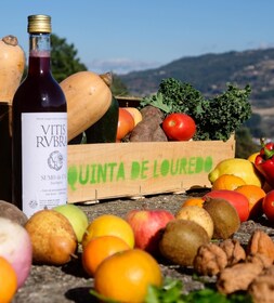 Douro Valley: Traditional Cooking Class and Farm Tour