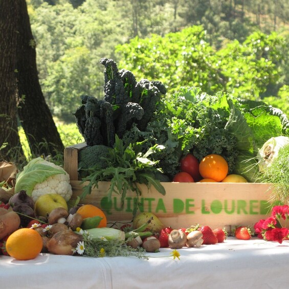 Picture 14 for Activity Traditional Cooking Class and Farm Tour in the Douro Valley