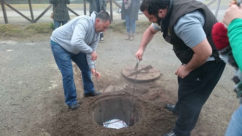 Depuis Ponta Delgada : Excursion guidée d'une journée à Furnas et aventure ...