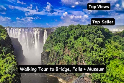 Puente de las Cataratas Victoria: visita guiada al puente, museo+cafetería