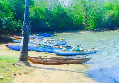 Cycling Expedition in Yala