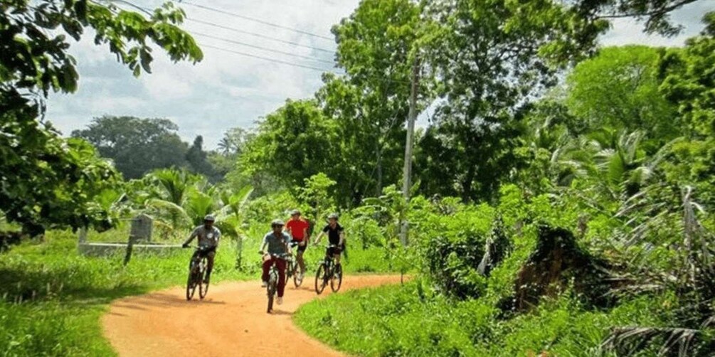 Picture 7 for Activity Cycling Expedition in Yala