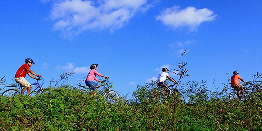 Picture 11 for Activity Cycling Expedition in Yala