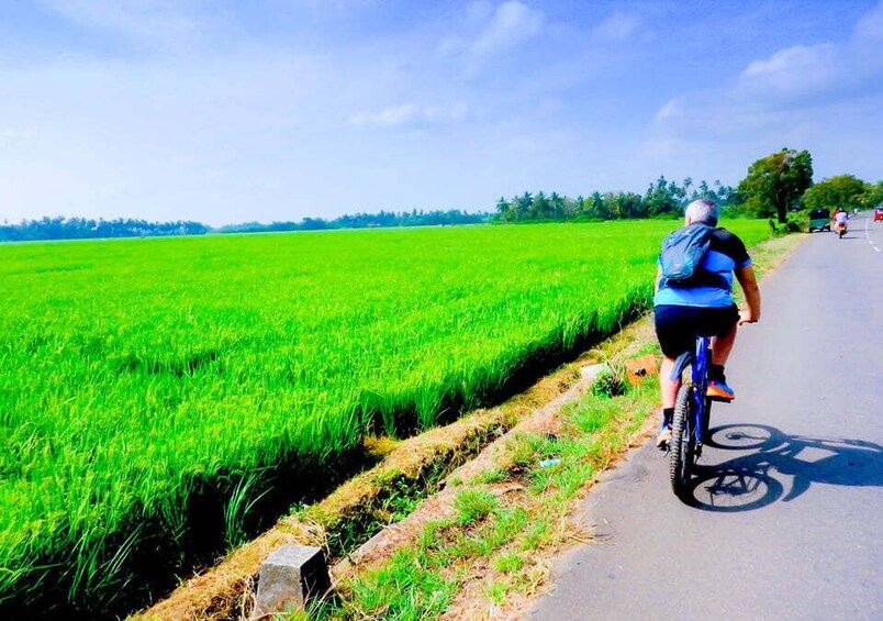 Picture 3 for Activity Cycling Expedition in Yala