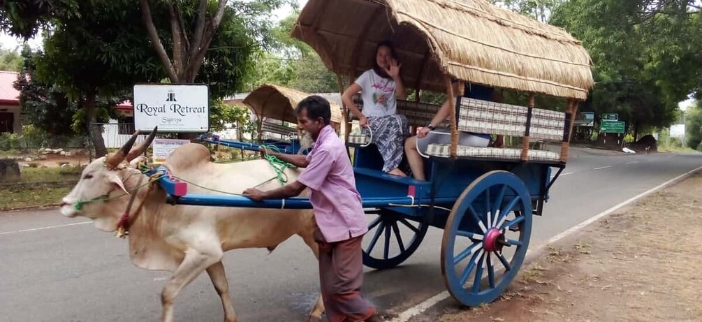 Picture 3 for Activity From Hikkaduwa to Sigiriya & Dambulla Private Day Tour