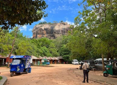 From Hikkaduwa to Sigiriya & Dambulla Private Day Tour