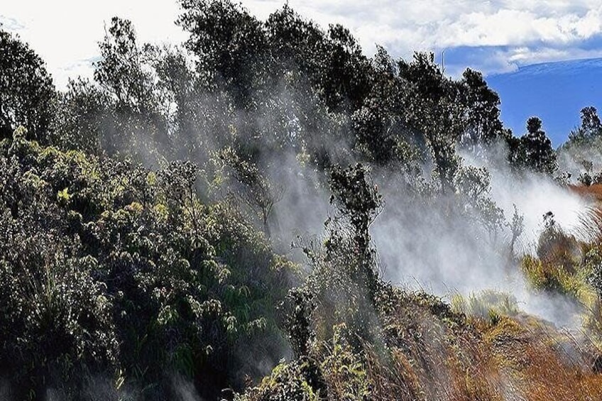 Hawaii Volcanoes National Park Experience from Oahu