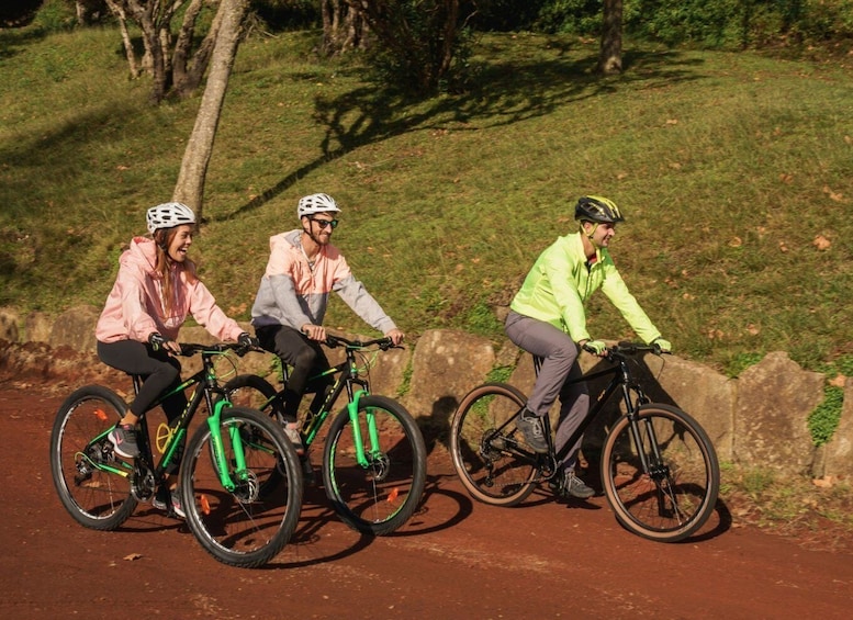 Picture 3 for Activity Terceira Island: MTB - Beginner Level