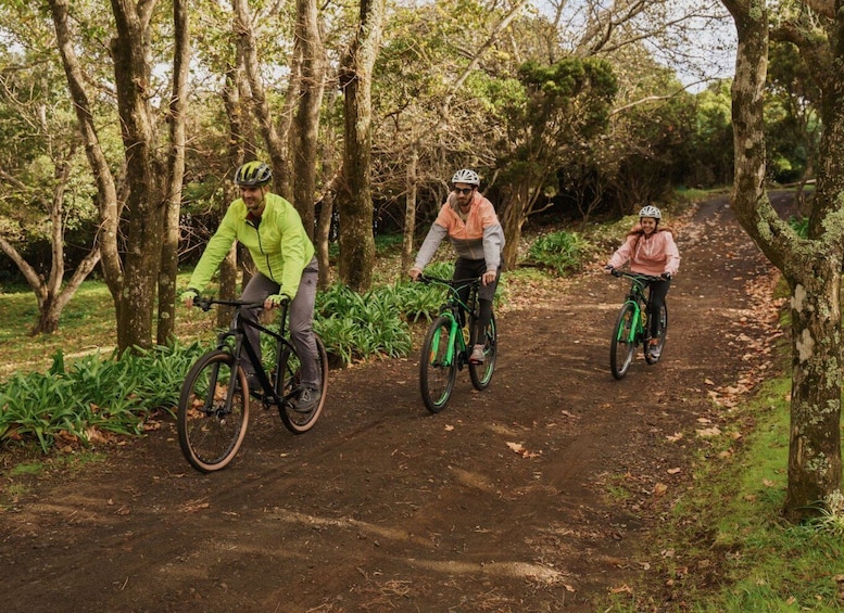 Picture 4 for Activity Terceira Island: MTB - Beginner Level