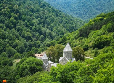 From Yerevan. one day tour to Sevan and Dilijan