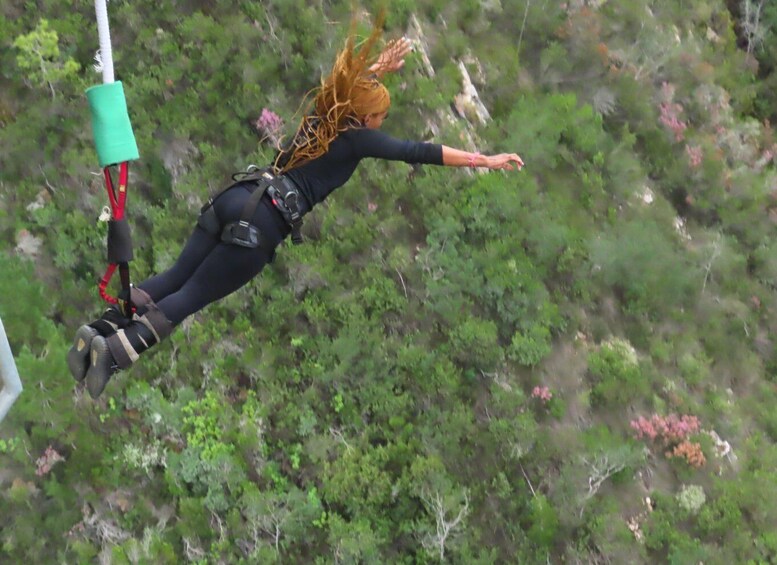 Picture 3 for Activity 2-Day Garden Route Bungee Jump, Zipline & Shark Diving Tour