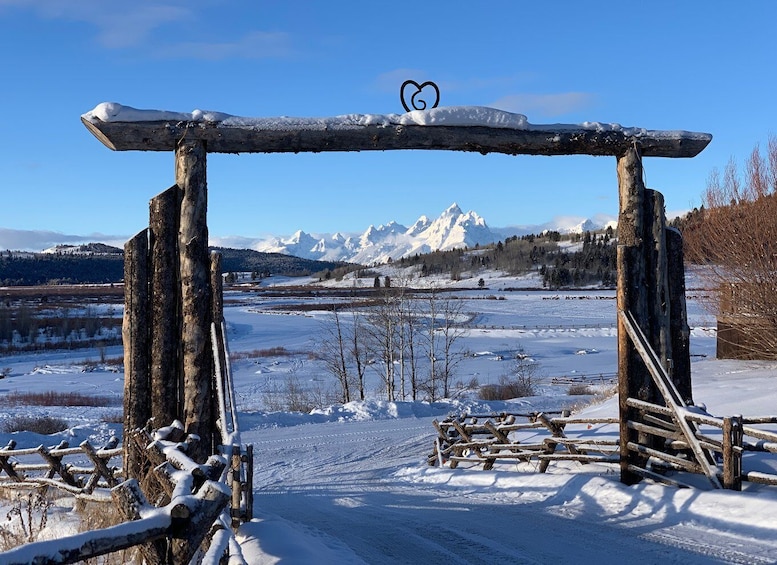 Picture 3 for Activity Jackson Hole: Grand Teton Full-Day Snowmobile Tour