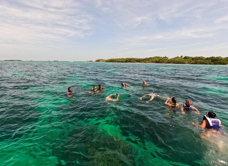 Picture 1 for Activity Playa Blanca: Daytour with Snorkeling and Racoon Sighting