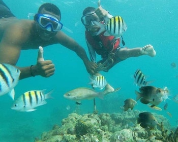 Playa Blanca : Excursion d'une journée avec plongée en apnée et observation...