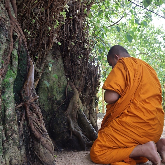 Picture 1 for Activity Colombo Port Shore Excursions Colombo City & Kalaniya Temple